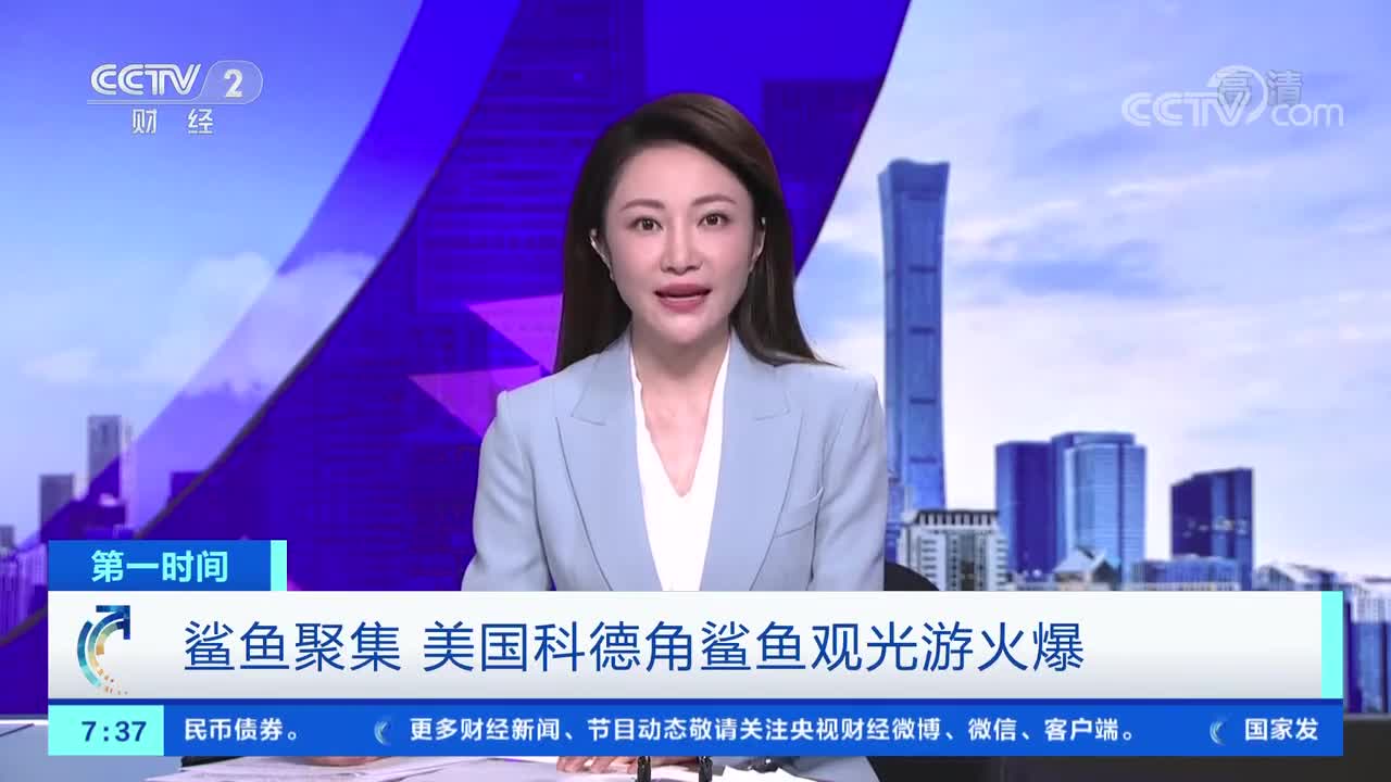 [第一时间]鲨鱼聚集 美国科德角鲨鱼观光游火爆