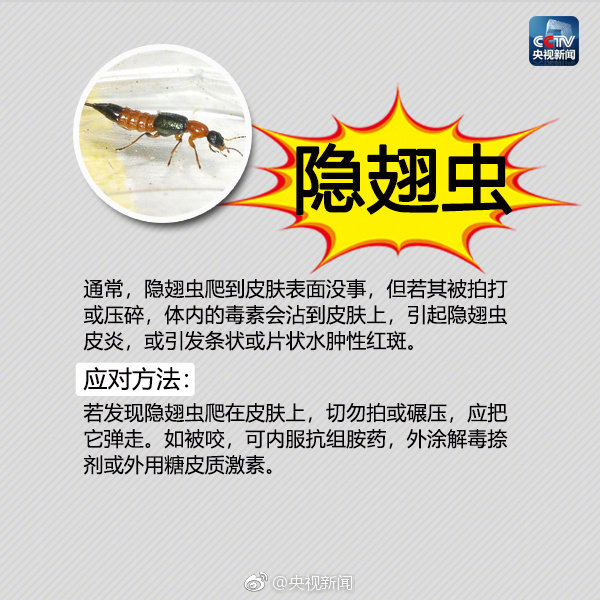 毒虫叮咬最严重可致命 最全防虫手册及应对方法 手机新浪网