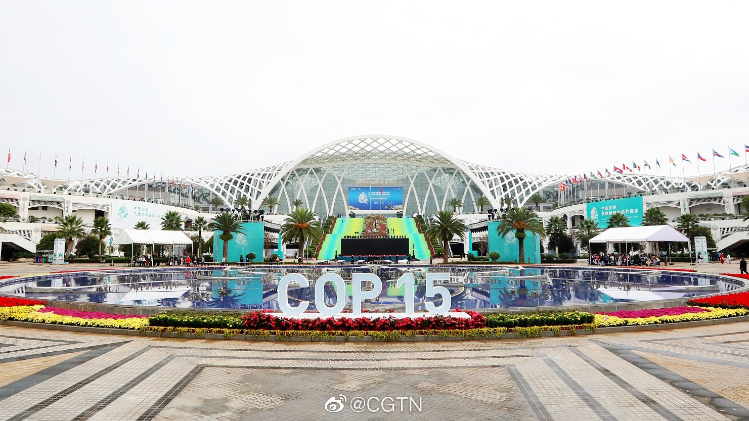 COP15 第一阶段会议今日开幕_手机新浪网