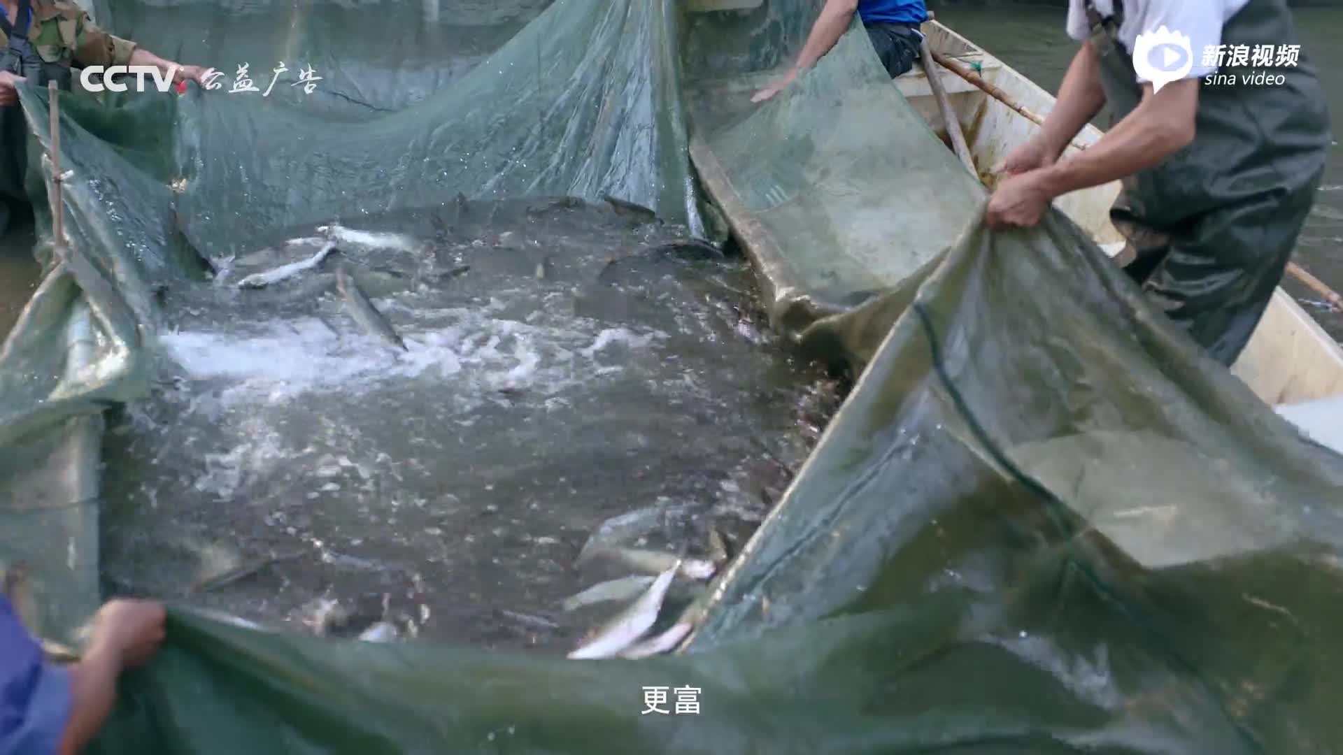 在湖州 看见美丽中国 生态篇_手机新浪网