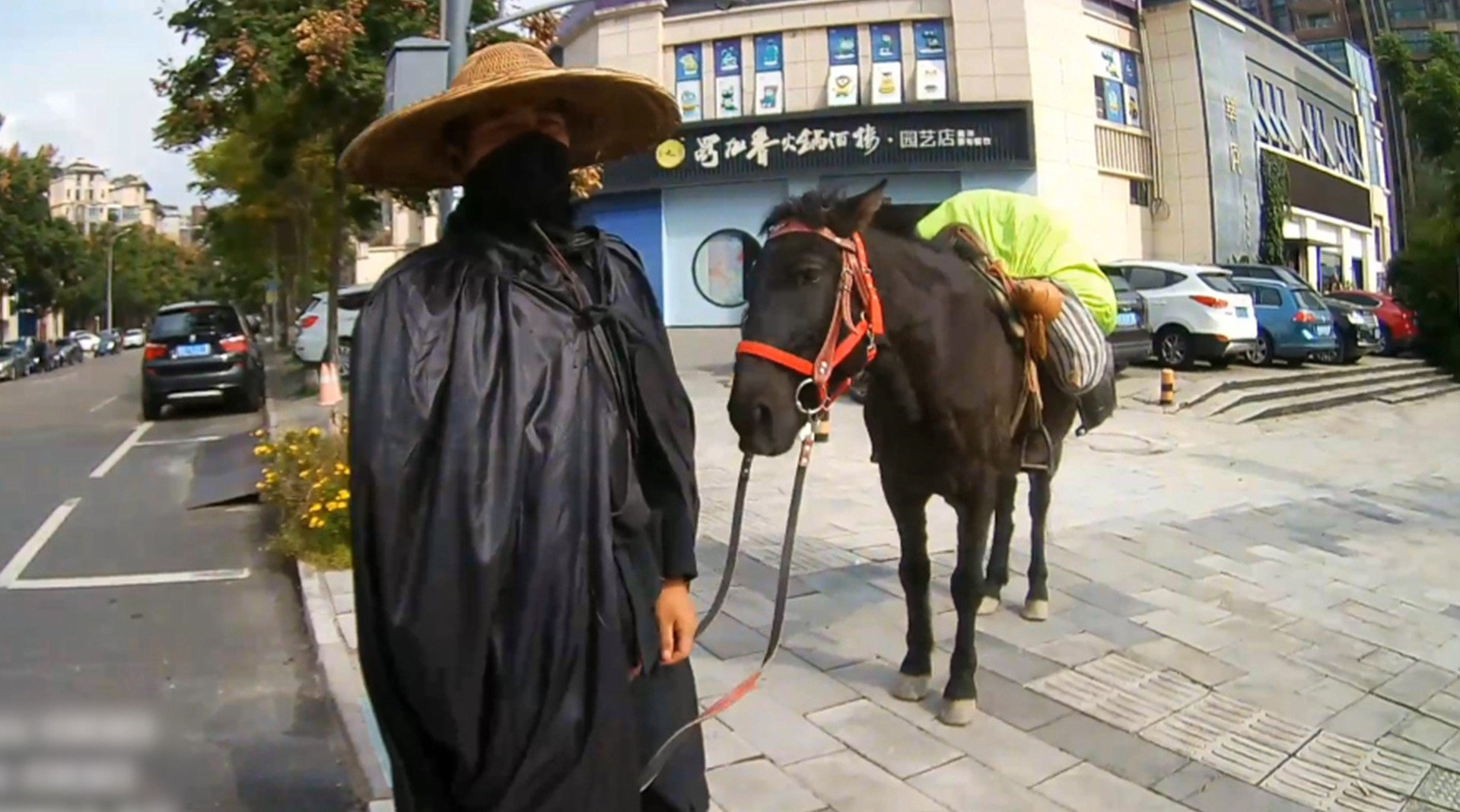 男子打扮成江湖大侠骑马穿行街头,交警将他劝解下马打回现实_手机新浪