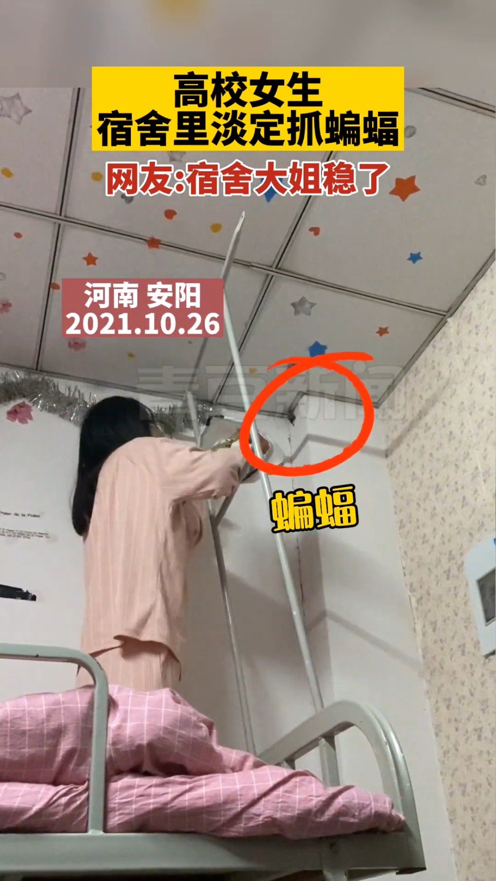 这种哺乳动物只靠吸血为生 为什么没有营养不良 基因 哺乳动物 蝙蝠 新浪科技 新浪网