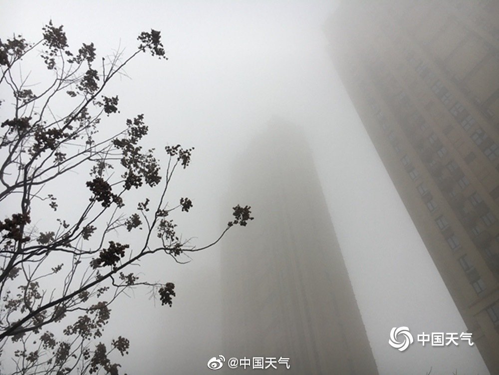 一组图看懂雾都有哪些类型_手机新浪网