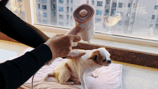 18倍納諾怡滋潤嗬護:PanasonicNA0H吹風機_新浪眾測