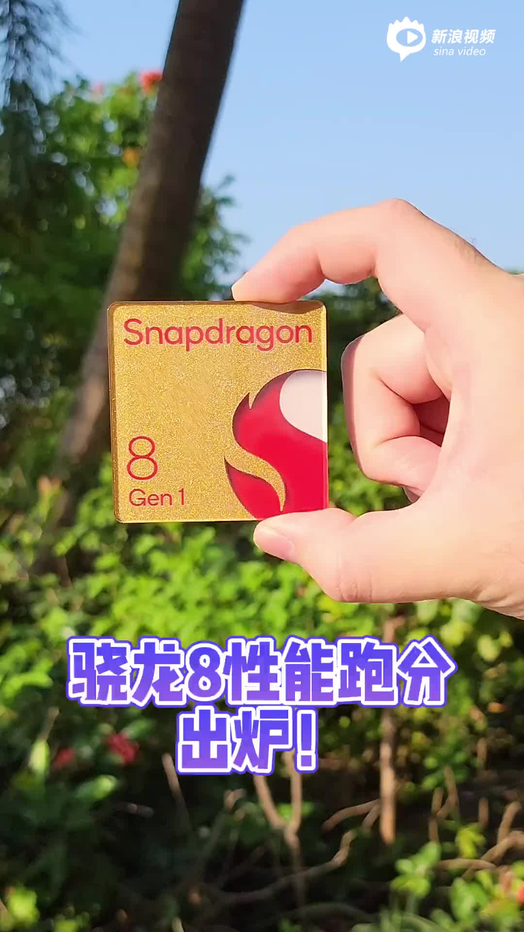 新骁龙8综合性能结果出炉跑分超天玑9000 性能跑分 新浪科技 新浪网