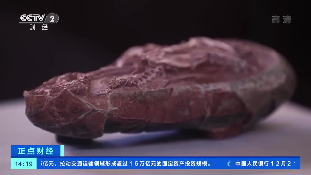 我国发现迄今最完整恐龙胚胎化石