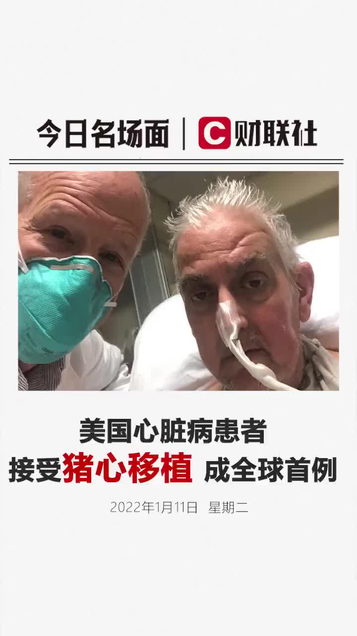 美国心脏病患者接受猪心移植，成全球首例