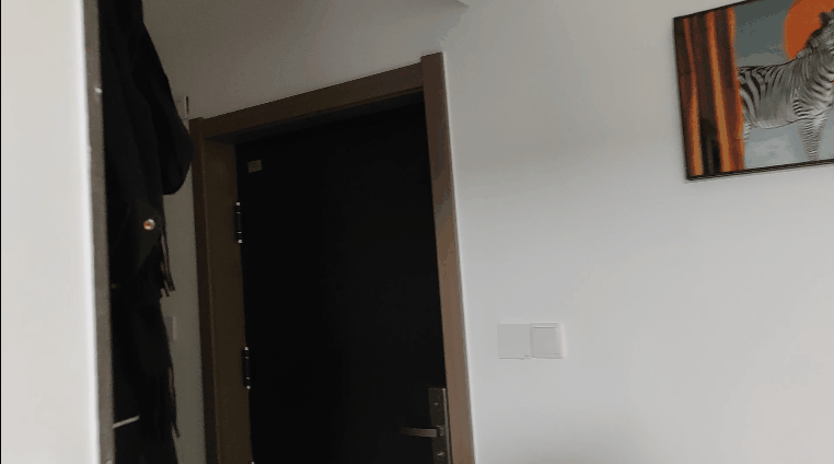 懶人必備!10件後悔沒早買的家居產品推薦!_新浪眾測
