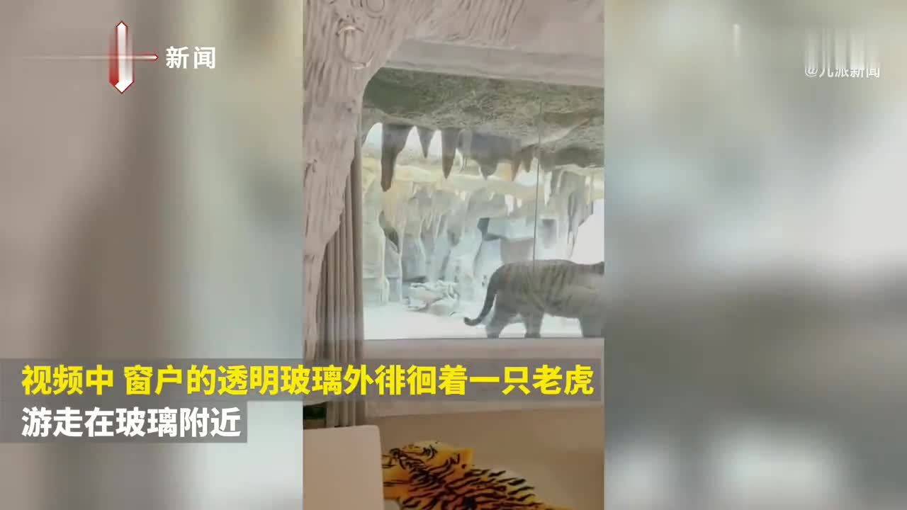 官方回应酒店出现虎景房，文旅局：已暂停该项目营业和宣传