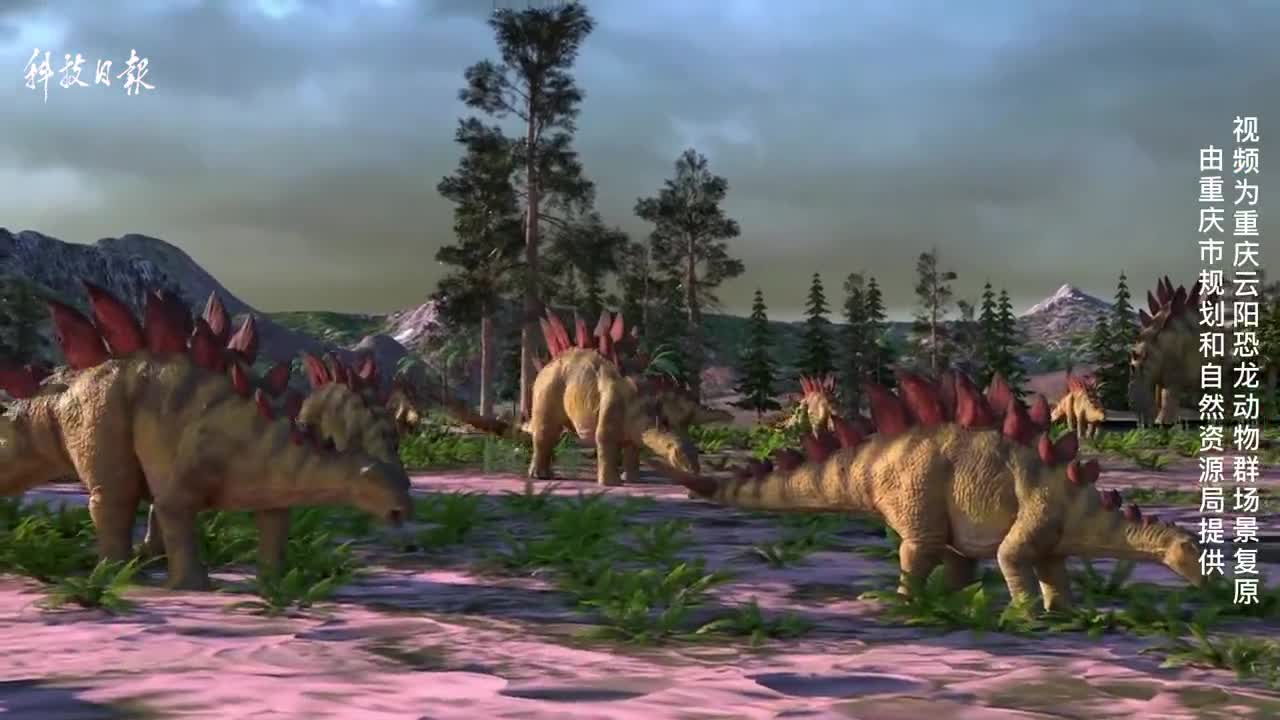 重庆发现世界最古老剑龙元始巴山龙