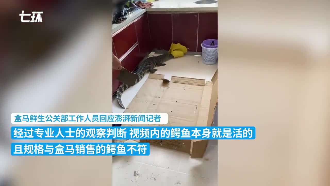 盒马鲜生回应网传“鳄鱼复活”，非在盒马购买未收到相关投诉