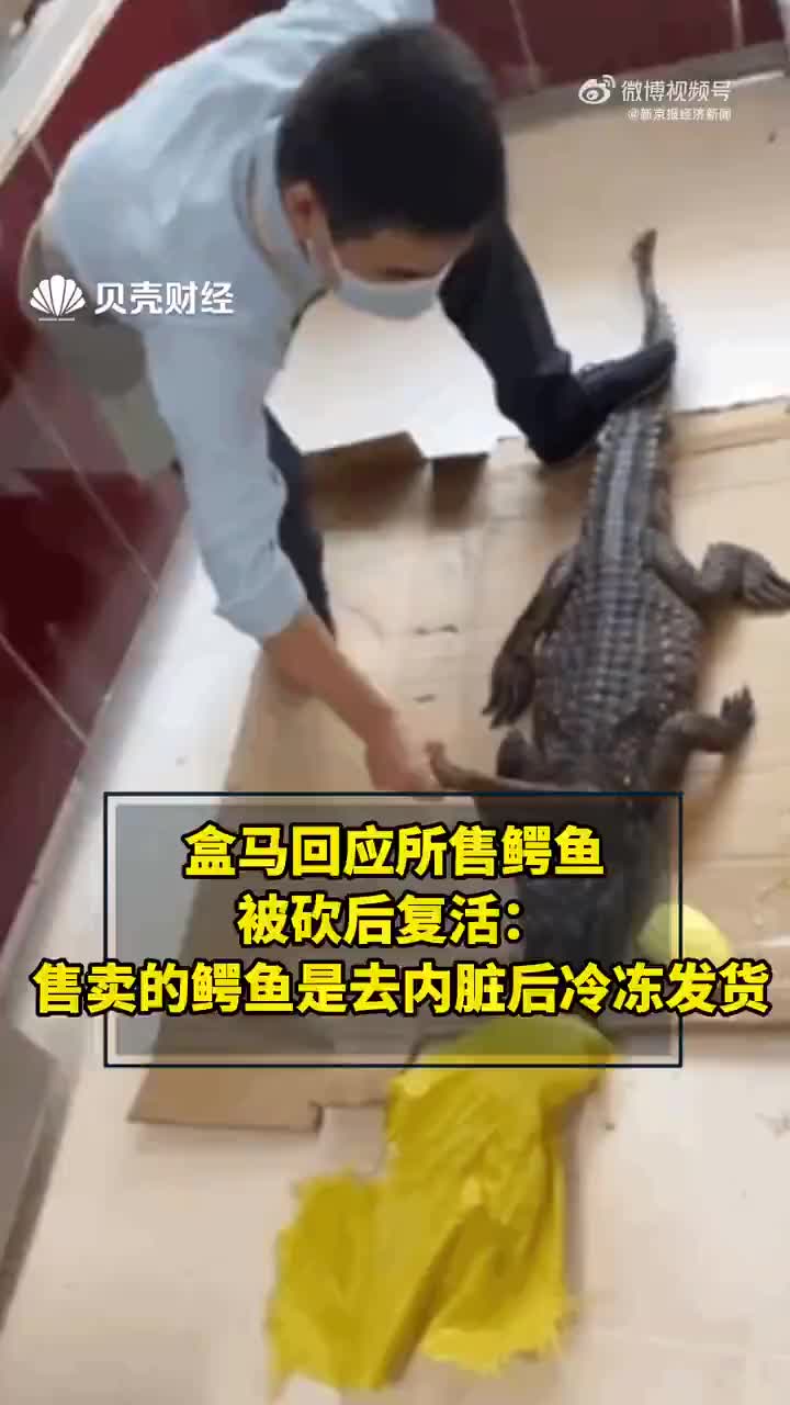 盒马回应所售鳄鱼被砍后复活 ：售卖的鳄鱼是去内脏后冷冻发货