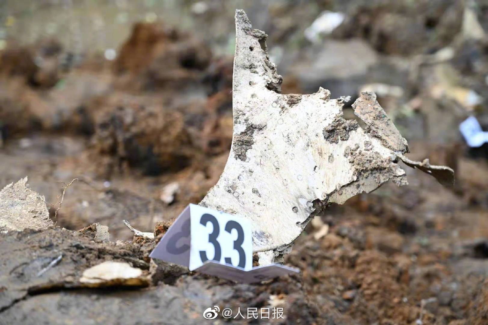 30年内发生28起空难，尼泊尔坠机现场官员：飞机已经碎了_新浪新闻