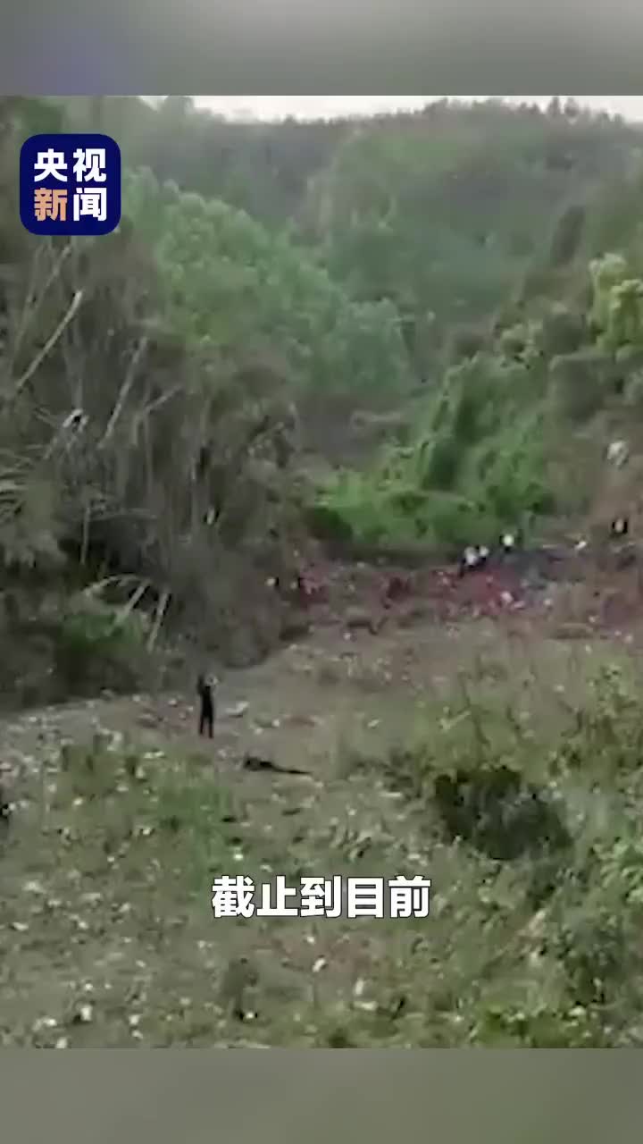 东航客机坠毁区域树木烧焦