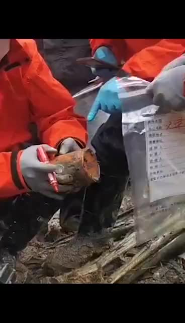 东航黑匣子发现现场画面