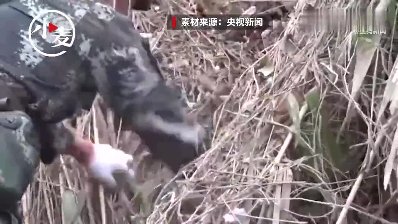 东航坠机现场发现部分飞机残骸和人体组织碎片