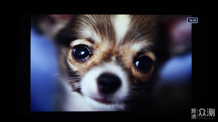 鹅厂新年伊始不讲武德,推出极光P2搞事情_新浪众测