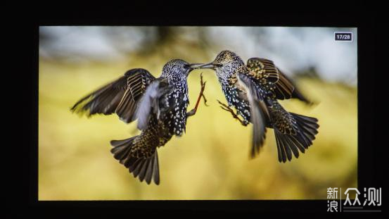 鹅厂新年伊始不讲武德,推出极光P2搞事情_新浪众测