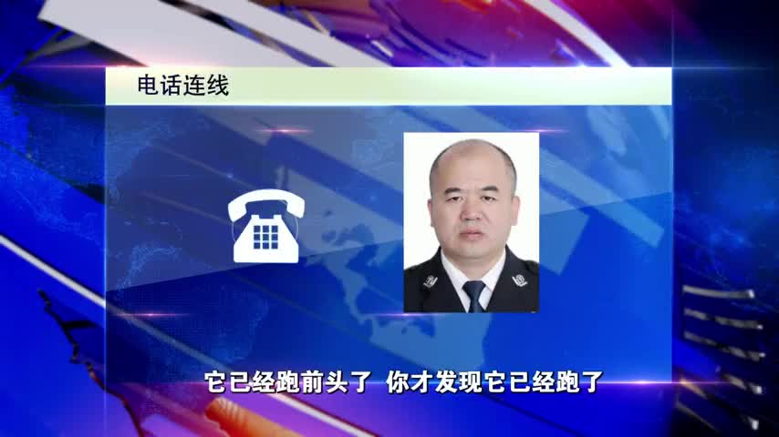 邯郸抗疫英雄谱黄玉凯与病毒赛跑的追阳人