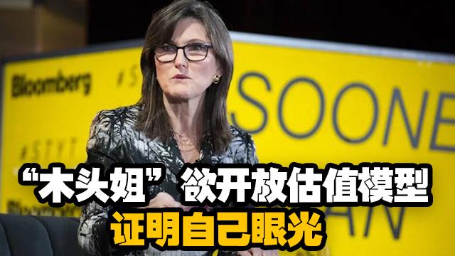 "木头姐"欲开放估值模型证明自己的眼光,但市场会买账吗?