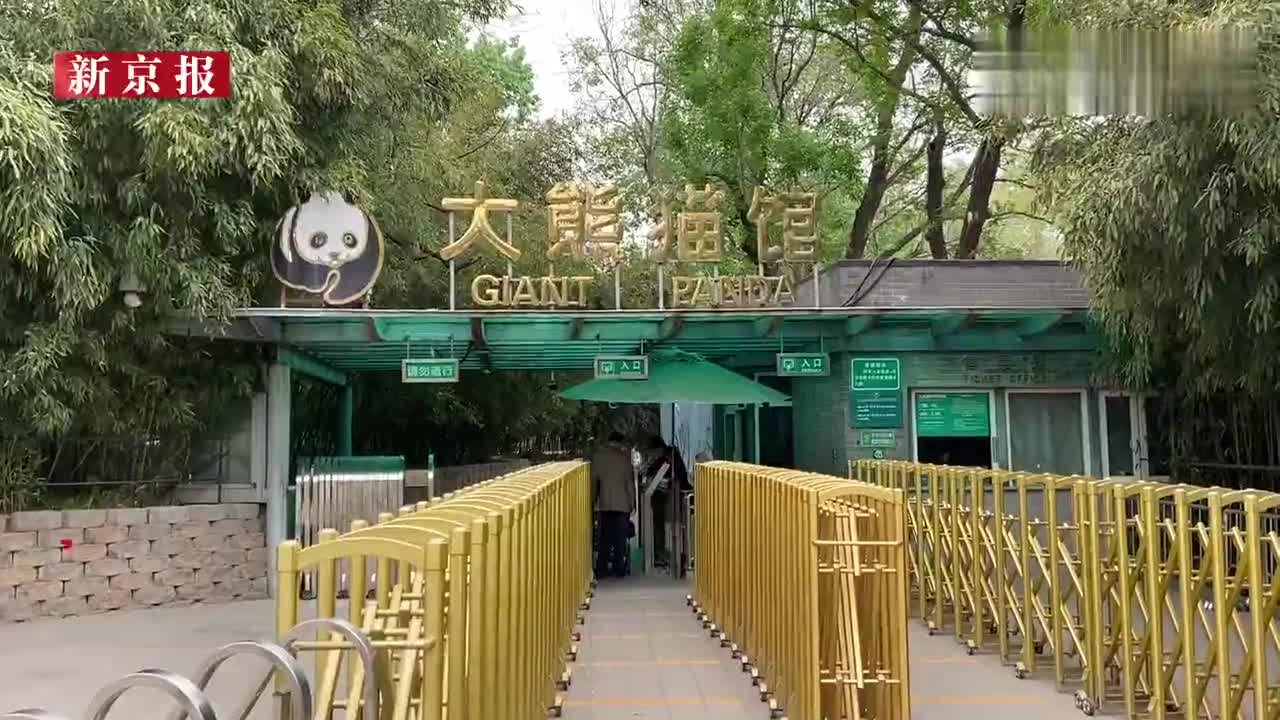 北京动物园奥运熊猫馆全新亮相