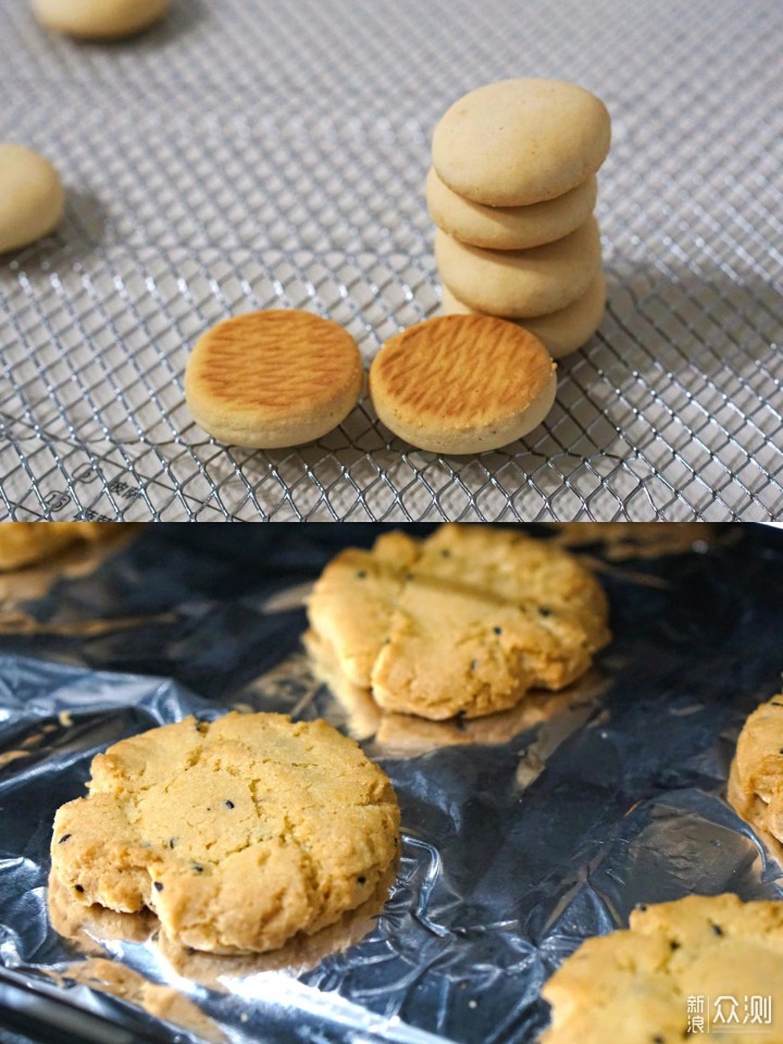 一步到位-风炉平炉两用烤箱，长帝大白鲸烤箱_新浪众测