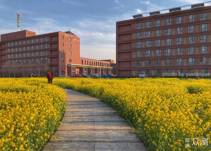 城市偶遇“花海”｜手机3招拍美，拍出层次感_新浪众测