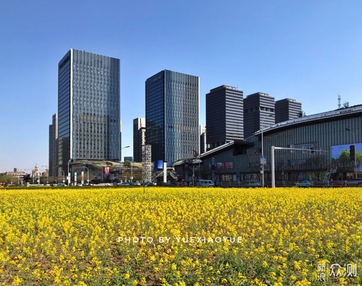 城市偶遇“花海”｜手机3招拍美，拍出层次感_新浪众测