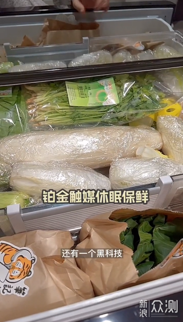 日立冰箱R-ZXC750KC视频详解用它怎么装美味!_新浪众测