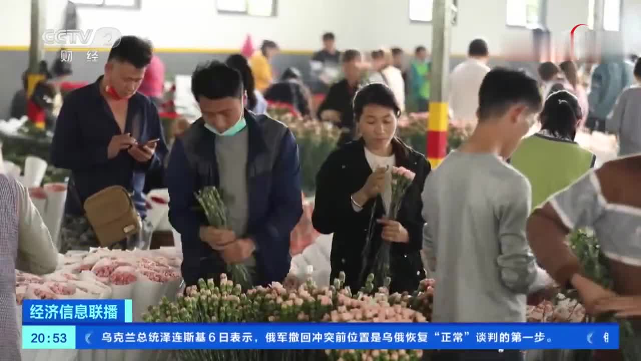 康乃馨价格比去年母亲节上涨近150%