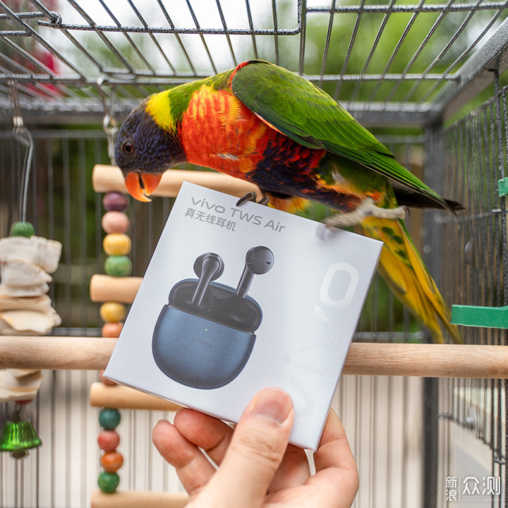 百元真无线耳机vivo TWS Air_新浪众测