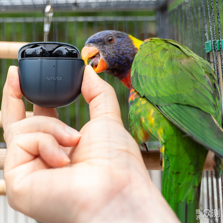 百元真无线耳机vivo TWS Air_新浪众测