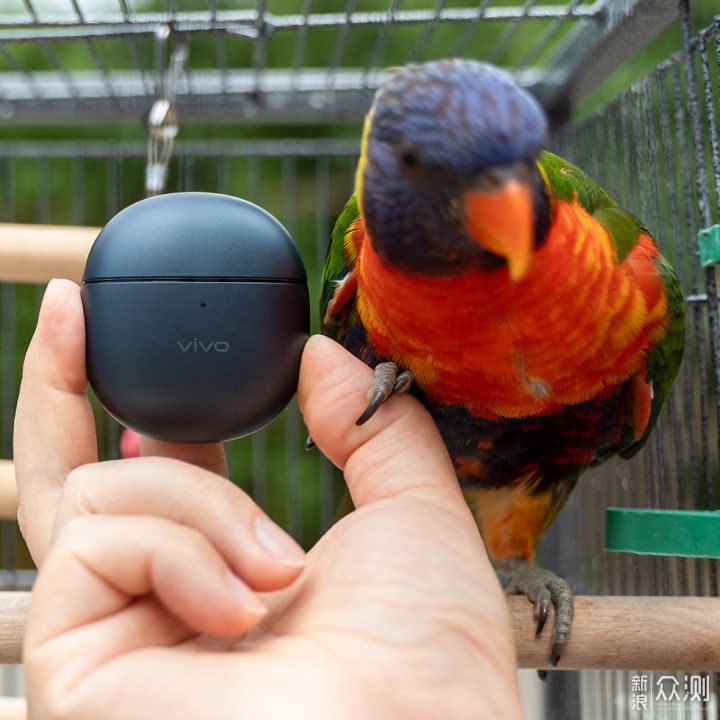 百元真无线耳机vivo TWS Air_新浪众测