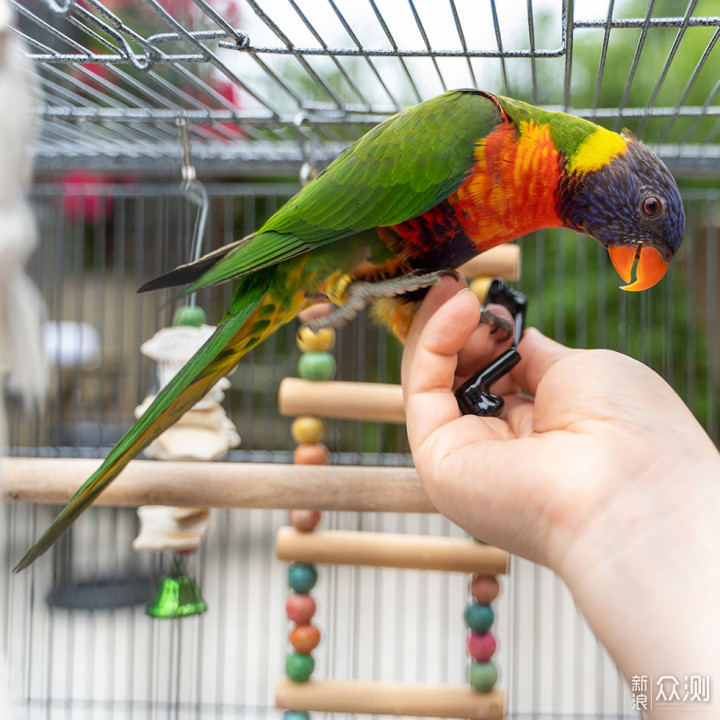 百元真无线耳机vivo TWS Air_新浪众测