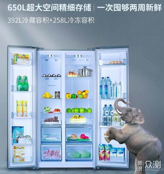 未雨绸缪成为常态，冰箱进入大冷冻时代！_新浪众测