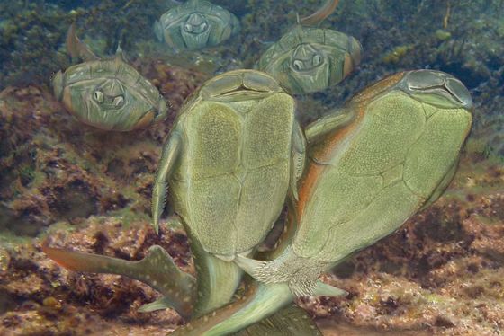 科学家已经发现通过交尾进行体内受精的最早实例