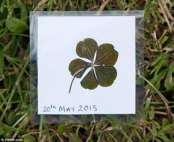 发现这朵罕见的五叶草后，这名女学生让妈妈凯伦用贴膜机把这朵幸运花保存起来，还在它上面注明发现日期。