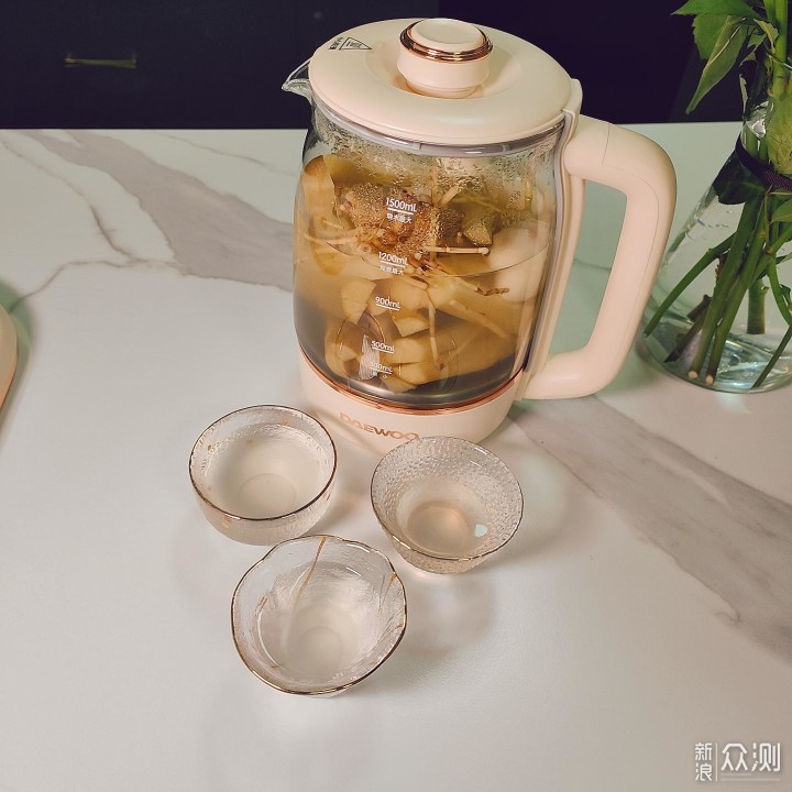 好物推荐 大宇养生壶我的健康精致生活好帮手_新浪众测
