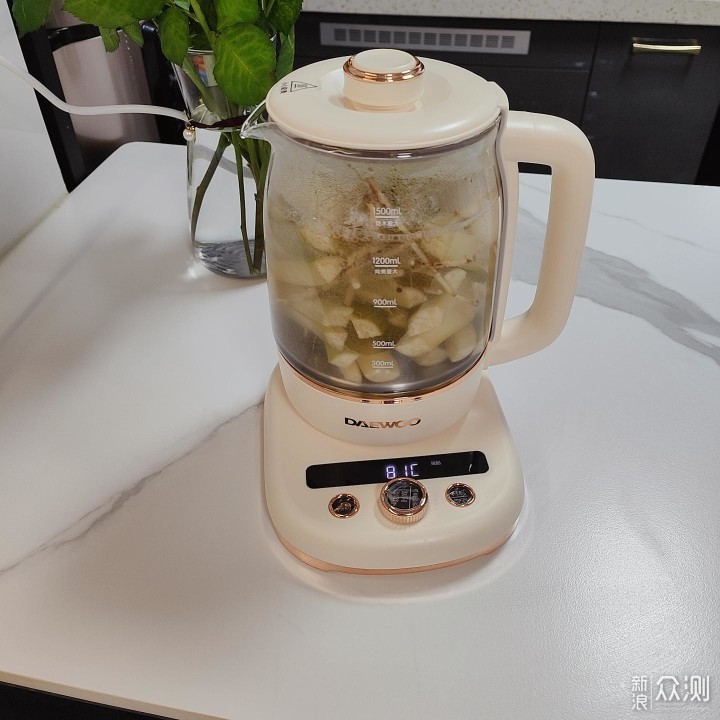 好物推荐 大宇养生壶我的健康精致生活好帮手_新浪众测