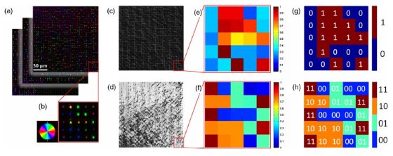 在这一光学存储系统中，数据被存储在纳米栅格中。这些纳米栅格是使用飞秒激光脉冲实现的。在室温条件下，这一系统的理论寿命长达3乘以10的20次方年，这几乎意味着永恒