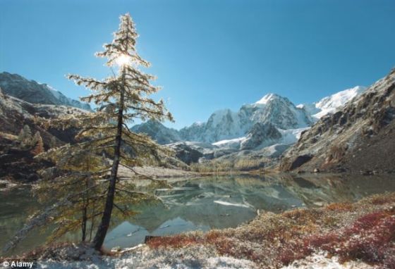 俄罗斯西伯利亚地区