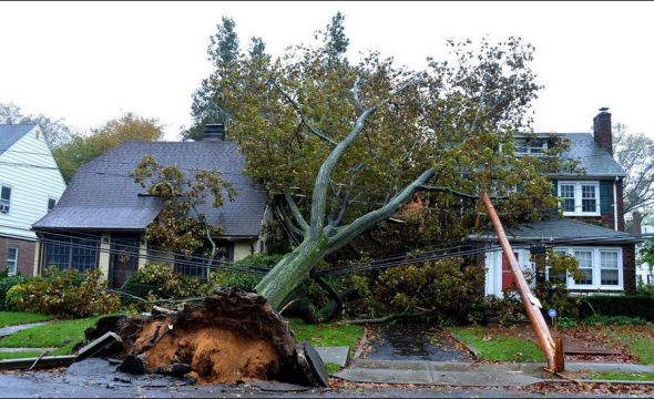 当地时间2012年10月29日，美国纽约加登城，被吹倒的树和输电线。