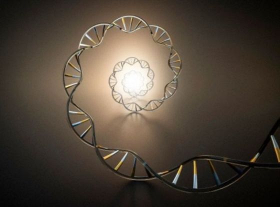 借助于高度灵敏的新一代DNA排序技术，英国科学家对珂巴脂（琥珀的亚化石树脂前身）中的昆虫进行了研究，结果发现上世纪90年代的研究“误诊”，在判断古DNA的真实性时出现误判