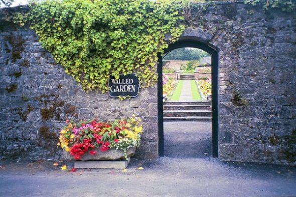 苹果、谷歌和亚马逊等科技巨头争相打造生态系统，其实只是另一种形式的“花园围墙”