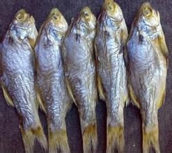 世卫再发警告中式咸鱼等致癌