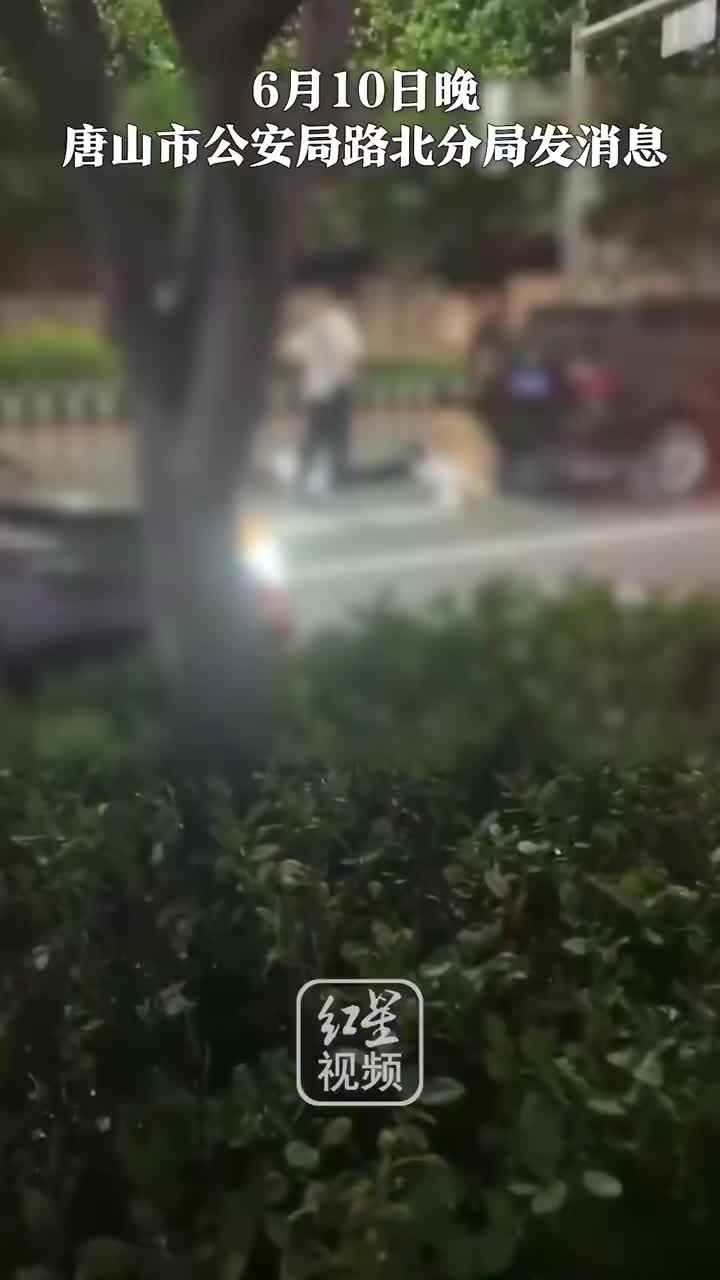 河北唐山烧烤店打人事件：已抓获两名犯罪嫌疑人