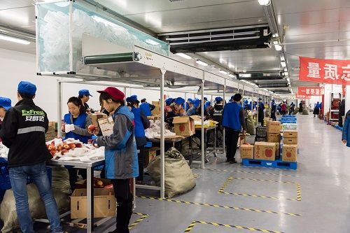安鲜达双11订单加工现场