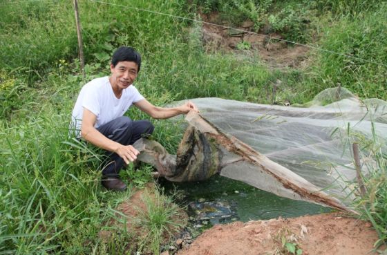 老吴土办法 挖的污水污 治标不治本（代鑫拍摄 ）