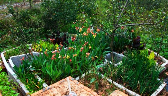 人工湿地和 环境融为一体（韦宝玉）