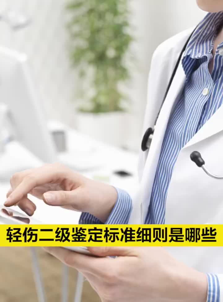 轻伤二级鉴定标准细则是哪些？